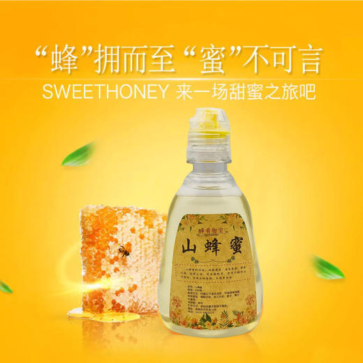 葫芦岛山庄野生山蜂蜜500g 商品图0