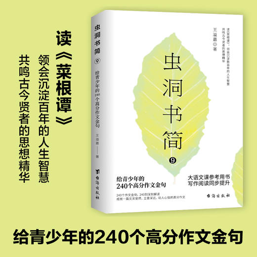 【2024压中6道高考题】虫洞书简系列图书1-10（全10册）第10册新书：给青少年的240个作文高分金句 给青少年的74封信  88堂创意课  99堂成长课等 商品图4