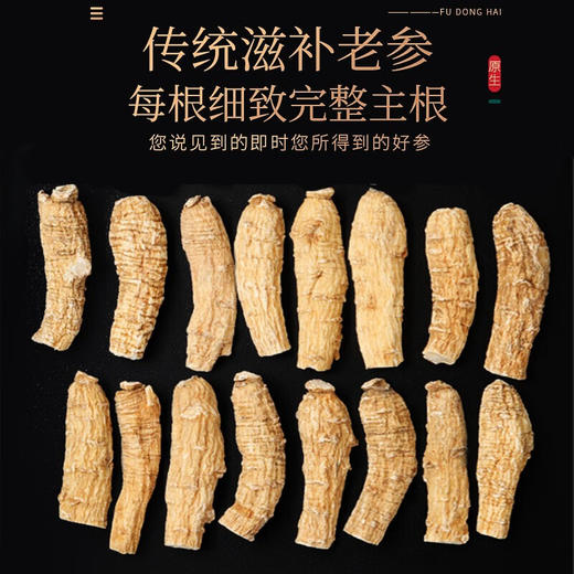 福东海 长白山3年西洋参段100克 花旗参短枝 人参皂苷片可打西 洋参粉送礼礼盒装 商品图6