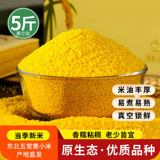 🔥必囤粗粮东北当季新米！黄小米、黑米5斤真空装新鲜香糯、厚厚米油，口感极佳，软糯香醇，养胃首选❗️黄小米米粥、东北黑米 商品图0