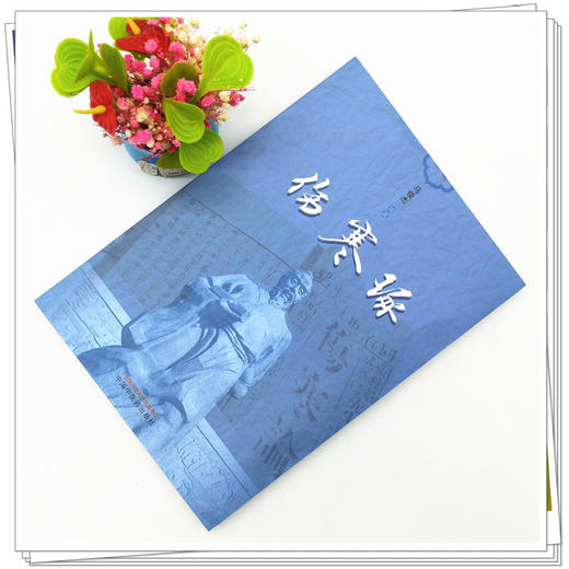 【出版社直销】伤寒琢 马俊杰 著 中国中医药出版社 伤寒论伤寒学书籍 商品图2