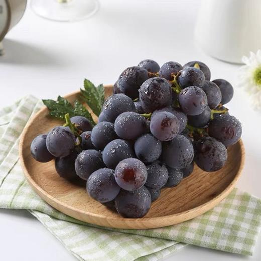 新鲜水果 山东葡萄2斤装 商品图1