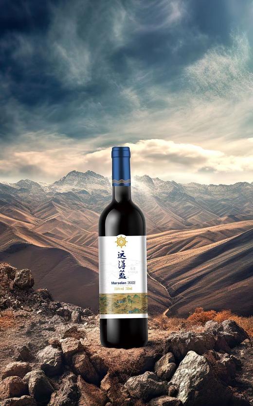 远洋蓝马瑟兰干红葡萄酒 （6瓶/箱） 商品图1