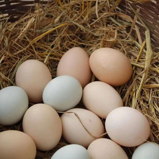 土鸡蛋，无抗生素，30枚装 | 黄山散养鸡蛋，产自黄山黟县南屏村，产地直发，顺丰快递 商品图4