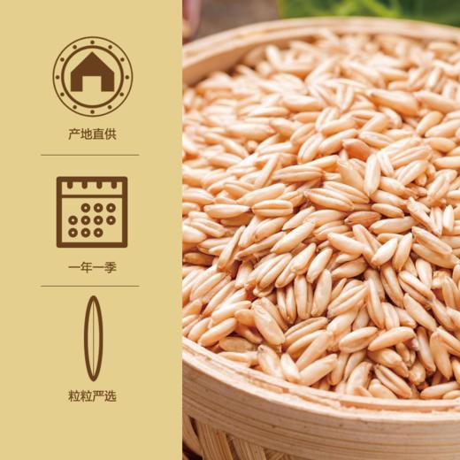 *有机燕麦米|物元农场|东北有机燕麦新米全胚芽粥饭代餐糙米裸燕麦粒杂粮 商品图0