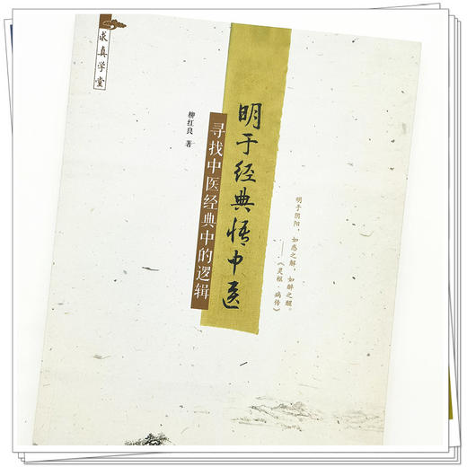 【出版社直销】明于经典悟中医 寻找中医经典中的逻辑 柳红良 著 中国中医药出版社 中医基础 书籍 商品图4