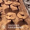 年货节🧨川农大种植研发，三萜含量高达10.4g每百克√【破壁灵芝孢子粉】破壁率高达98%👊 商品缩略图3