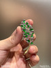 3315105，老坑玻璃帝王绿叶子胸针。具体价格微信咨询 商品缩略图0