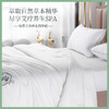 多喜爱 植萃艾草养生四季被/冬被/子母被hlcs/FX 商品缩略图1