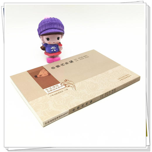 串雅内外编 (清)赵学敏纂辑(清) 吴庚生补注 中国中医药出版社 中医必读经典读本丛书 商品图3