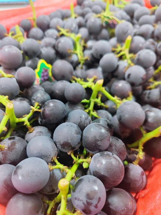 新鲜水果 山东葡萄2斤装 商品图4