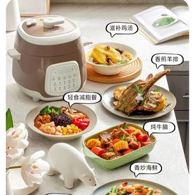 【春上新】10楼 膳魔师 2.5L多功能安全电压力锅   吊牌价780元/只  活动价599元/只