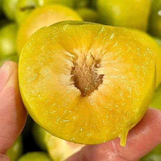 精品蜂糖李 商品图1