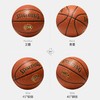 篮球---斯伯丁77-788Y （GOATS） 商品缩略图2