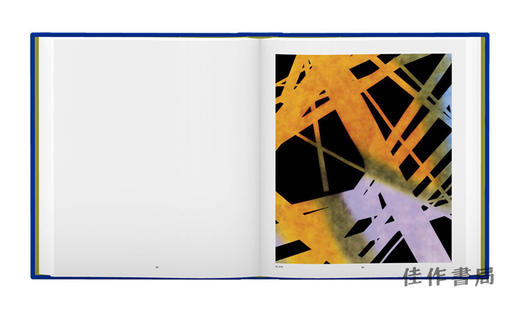 James Welling: Monograph / 詹姆斯·威灵：专著 商品图3