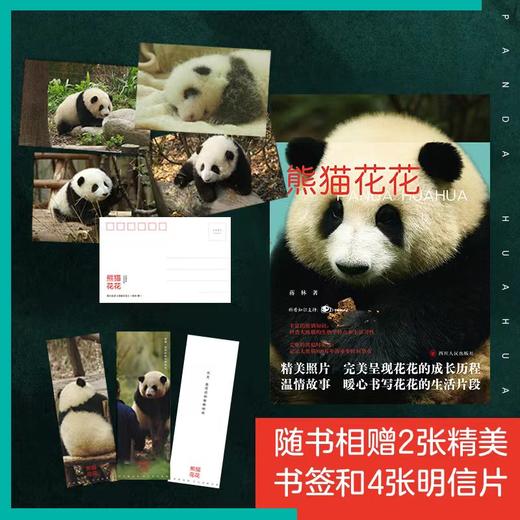 熊猫花花 商品图2
