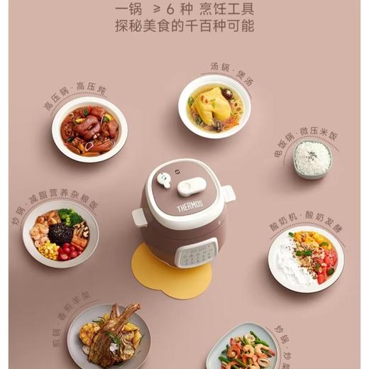 【春上新】10楼 膳魔师 2.5L多功能安全电压力锅   吊牌价780元/只  活动价599元/只 商品图2