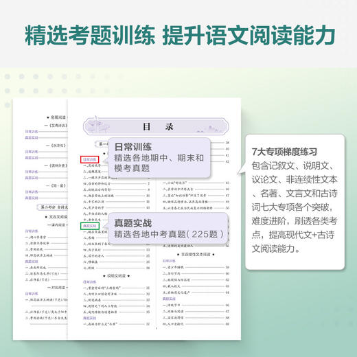 星火初二八年级语文现代文十古诗文阅读理解训练七合一必刷题2023 初中阅读理解公式方法与答题技巧训练语文练习全国通用(马德高) 商品图2