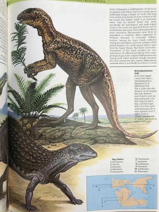 恐龙图解百科 数百幅彩色插图 精装大16开 商品图10