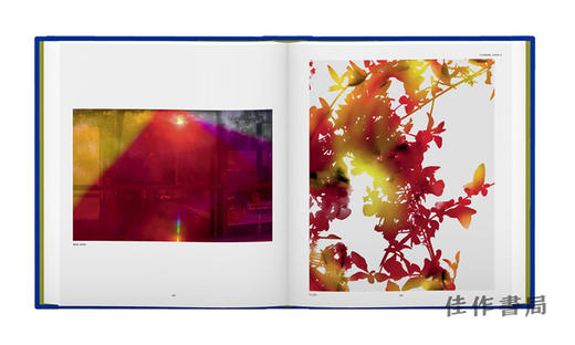 James Welling: Monograph / 詹姆斯·威灵：专著 商品图1