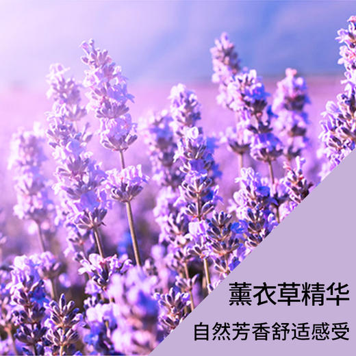 韩国芜琼花自然美人滋润留香天然香皂花香沐浴皂 90g/块 商品图8