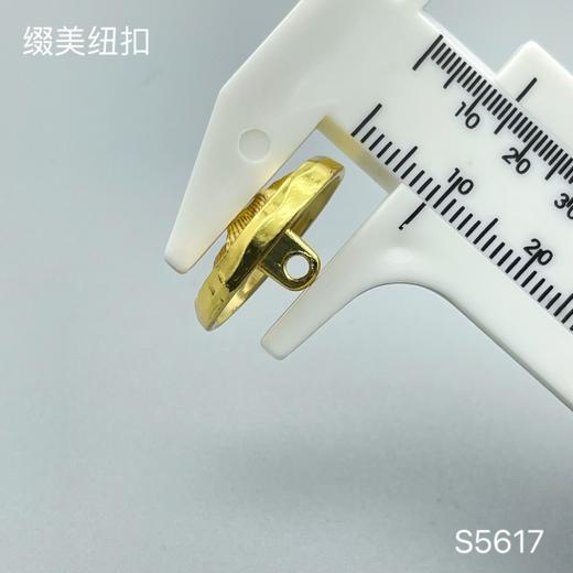 S5617(整包购买) 商品图4