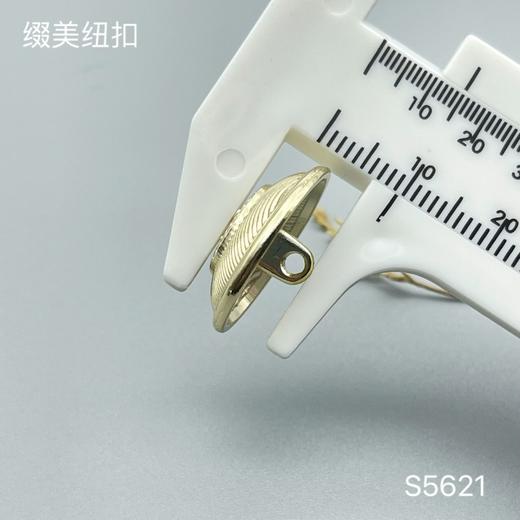 S5621(整包购买) 商品图4