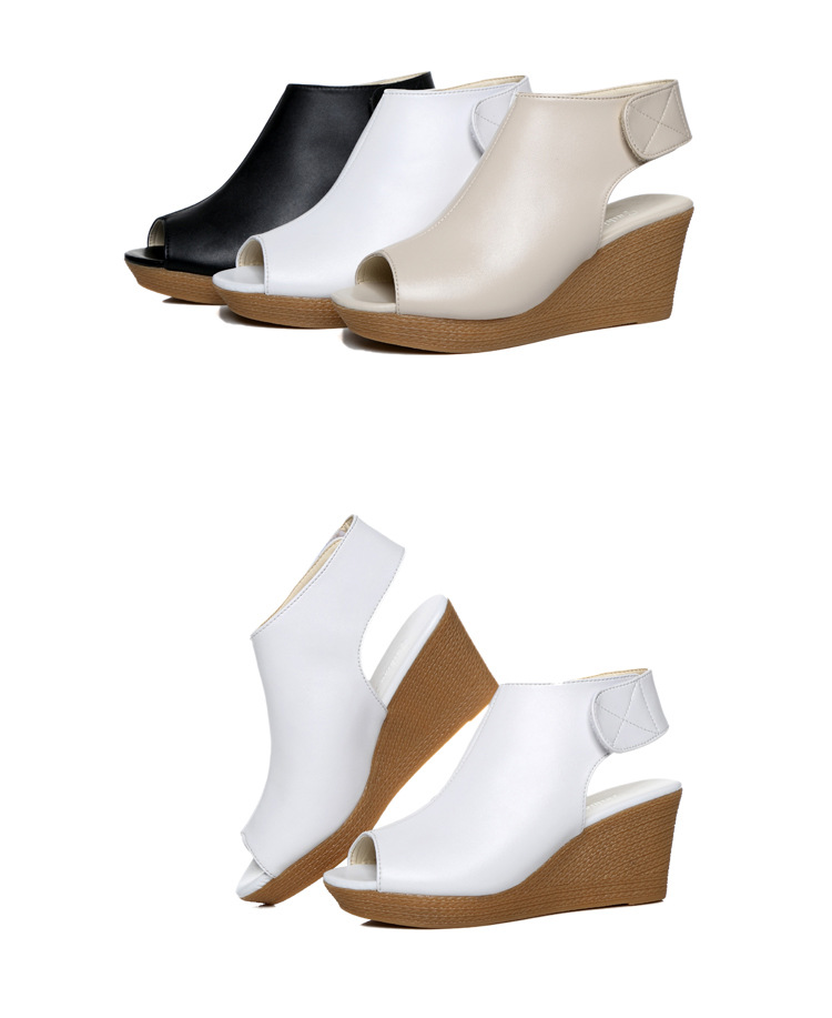 imucj/qmzdQ6ptJiPbi+z6qZCVho8gEOTliZ