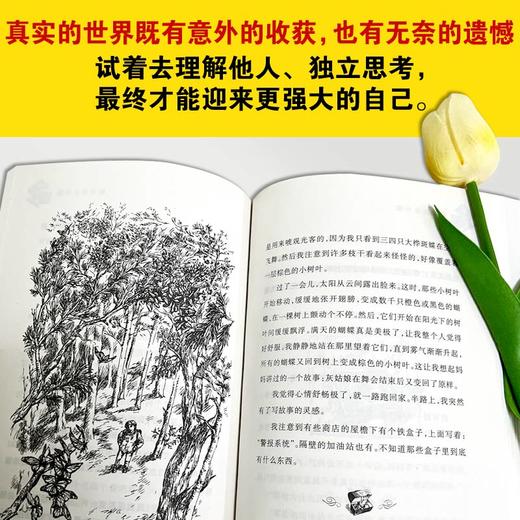 国际大奖小说——亲爱的汉修先生，全球畅销40年经典作品，一本汉修先生胜过十本作文书！ 商品图1