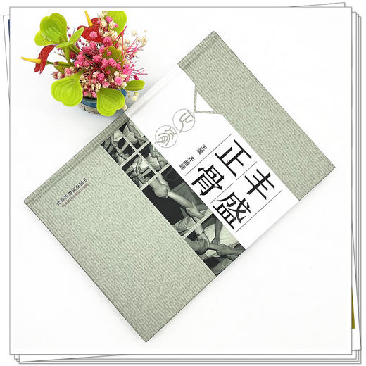 丰盛正骨 齐越峰 主编 中国中医药出版社 中医临床 书籍 商品图2