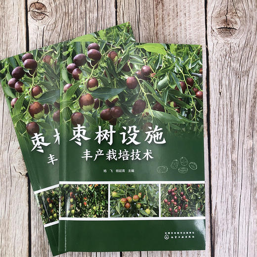 枣树设施丰产栽培技术 商品图1