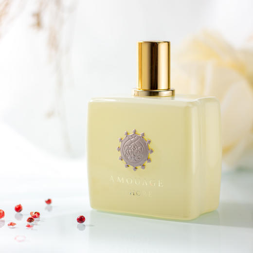 爱慕 岸上淡香精 Amouage Ashore 分装 文艺复兴系列 商品图3