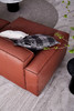 面包沙发 | 更多座位组合，皮布面料可选，详询客服 商品缩略图12
