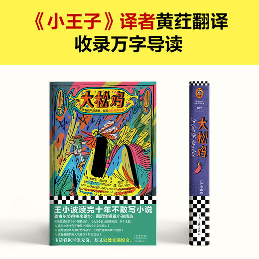 读客大松鸡（米歇尔·图尼埃黄荭译短篇小说龚古尔文学奖精装王小波） 商品图4