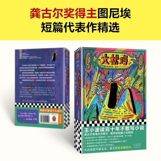 读客大松鸡（米歇尔·图尼埃黄荭译短篇小说龚古尔文学奖精装王小波） 商品图2