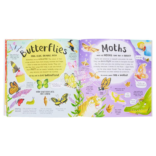 【中商原版】Matt Robertson Do You Love Bugs 你喜欢昆虫吗？英文原版 进口图书 儿童绘本 动物科普知识图画书 商品图7