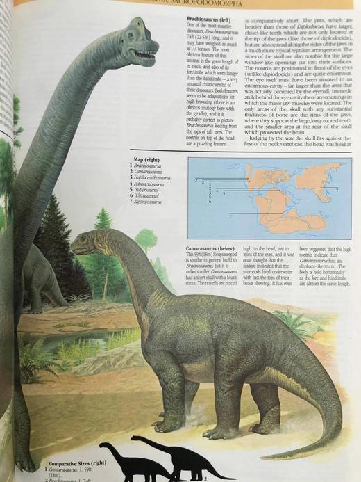 恐龙图解百科 数百幅彩色插图 精装大16开 商品图13
