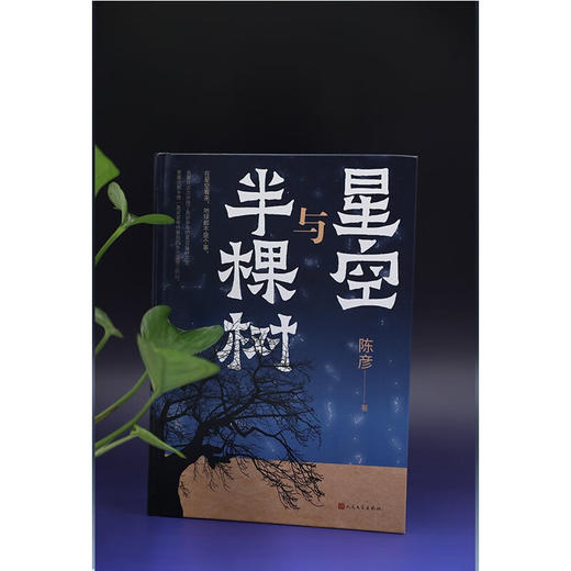 星空与半棵树 陈彦 著 小说 商品图1