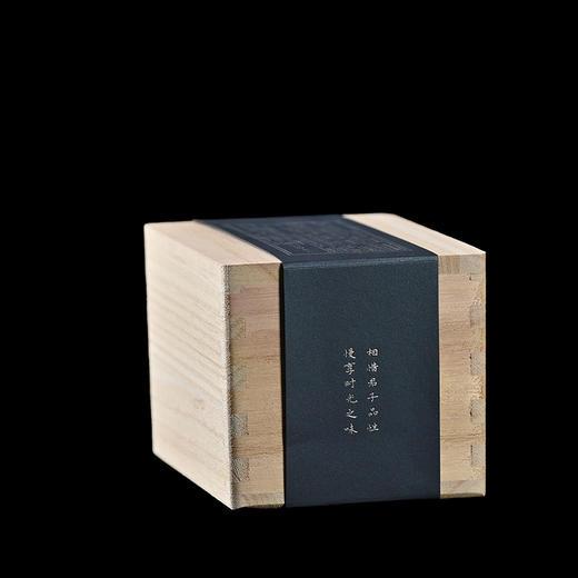 梅记十年陈铁 基础100g 2013底料 焦糖陈 安溪铁观音乌龙茶老茶 商品图3