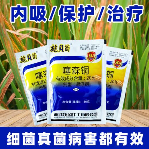 噻森铜酮果树蔬菜细菌病软腐病溃疡病角斑病青枯病专用农药杀菌剂 商品图1