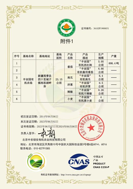 新疆半亩园初恋有机番茄 商品图4