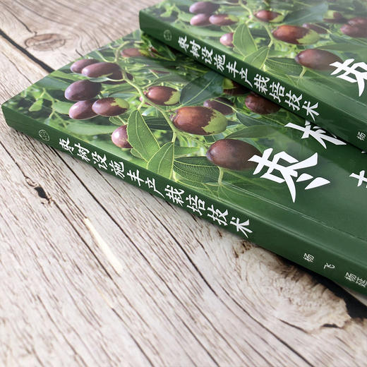 枣树设施丰产栽培技术 商品图3