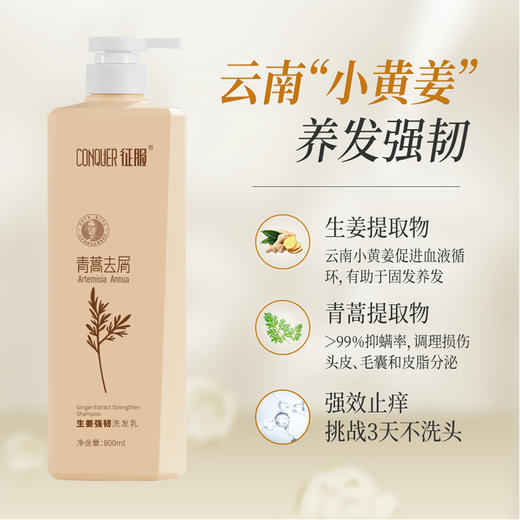 征服-暖暖  新升级2代青蒿洗发乳，滋养头皮，强韧发根润肤沐浴露，护发素改善脆弱发质、受损发丝 青蒿固发柔顺洗发系列 商品图9