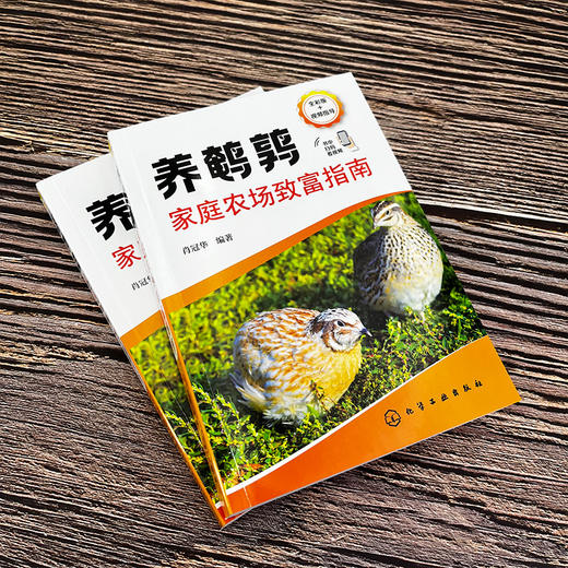 养鹌鹑家庭农场致富指南 商品图2