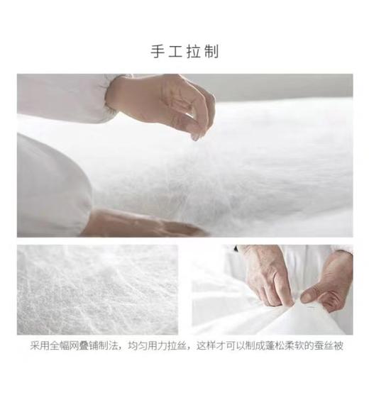 【恐龙厅】B座7F | 恐龙全棉提花桑蚕丝被 商品图4