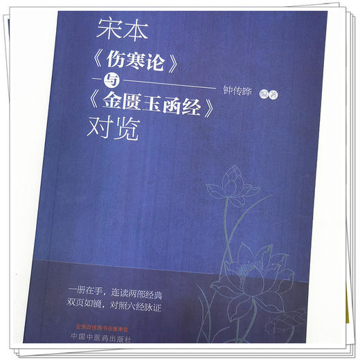 【出版社直销】宋本《伤寒论》与《金匮玉函经》对览 钟传晔 编著 中国中医药出版社 中医临床 书籍 商品图4
