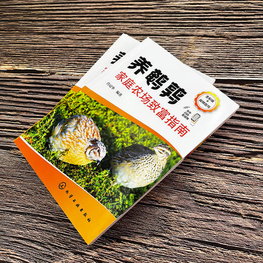 养鹌鹑家庭农场致富指南 商品图3
