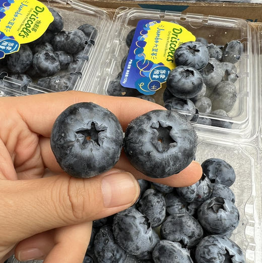 怡颗莓限量版18+蓝莓 商品图0