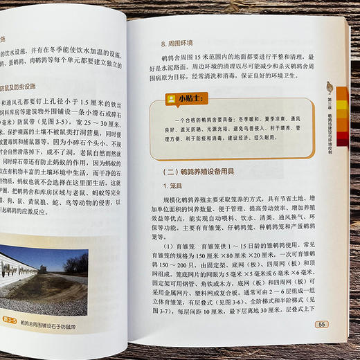 养鹌鹑家庭农场致富指南 商品图7