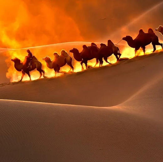 2023氧气旅行团—甘青大环线(快乐加速度） 商品图3